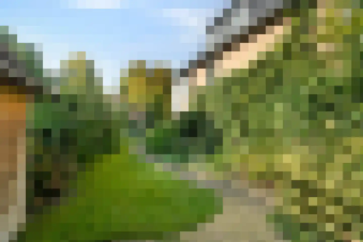 Seringweg 43 Ermelo thumbnail 62