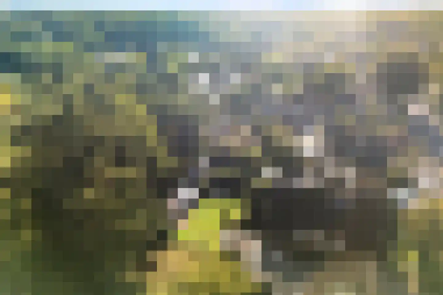 Seringweg 43 Ermelo thumbnail 66