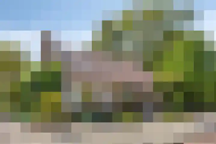 Serlioweg 5 in Eindhoven