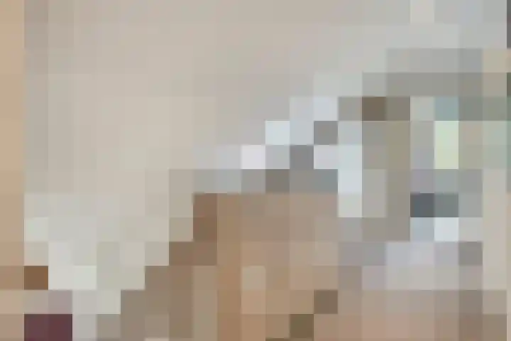 Serlioweg 5 Eindhoven thumbnail 22