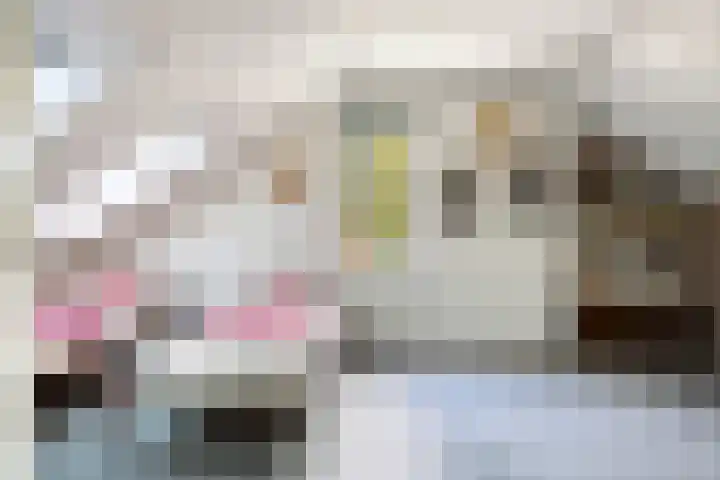 Serlioweg 5 Eindhoven thumbnail 24