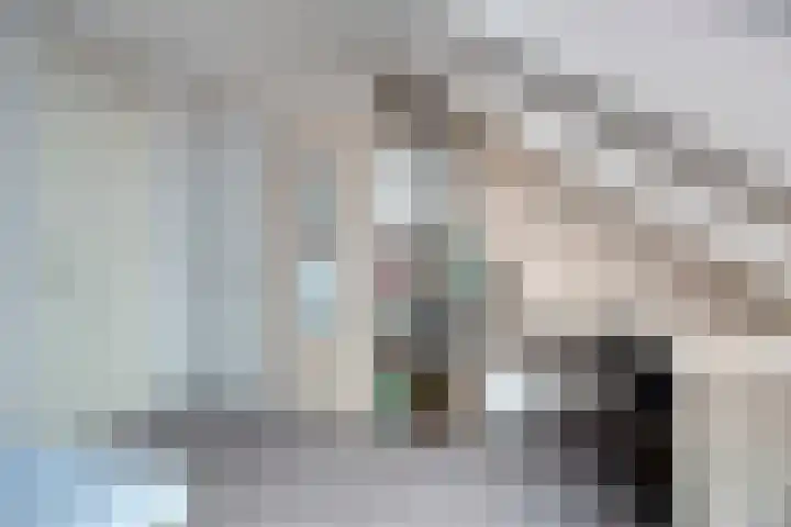Serlioweg 5 Eindhoven thumbnail 28