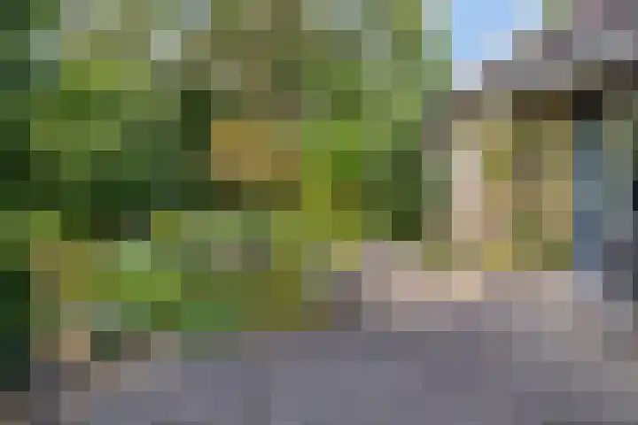 Serlioweg 5 Eindhoven thumbnail 33