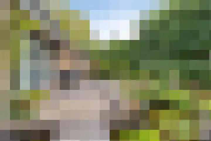 Serlioweg 5 Eindhoven thumbnail 34