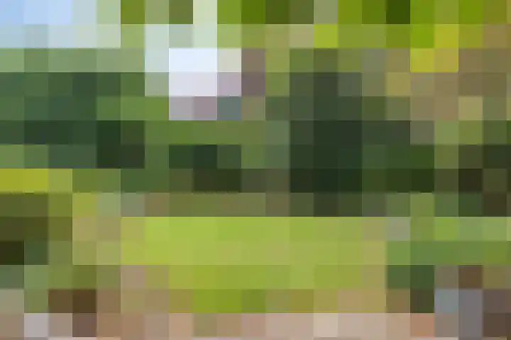 Serlioweg 5 Eindhoven thumbnail 35