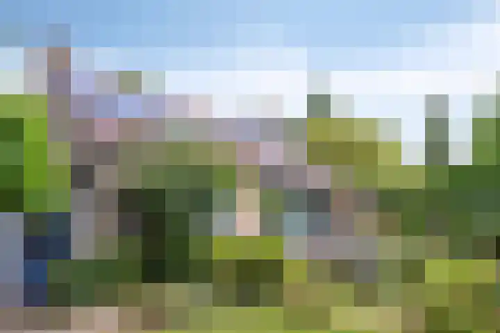 Serlioweg 5 Eindhoven thumbnail 36