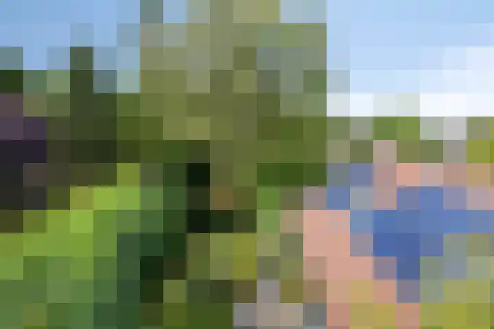 Serlioweg 5 Eindhoven thumbnail 38
