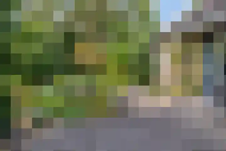 Serlioweg 5 Eindhoven thumbnail 4