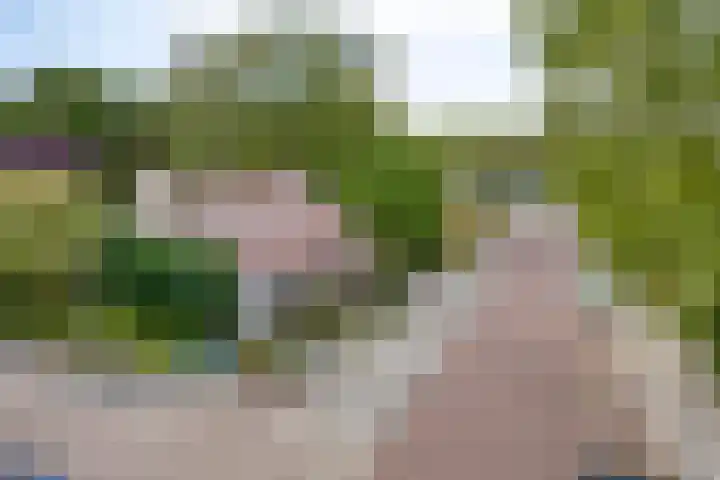 Serlioweg 5 Eindhoven thumbnail 43