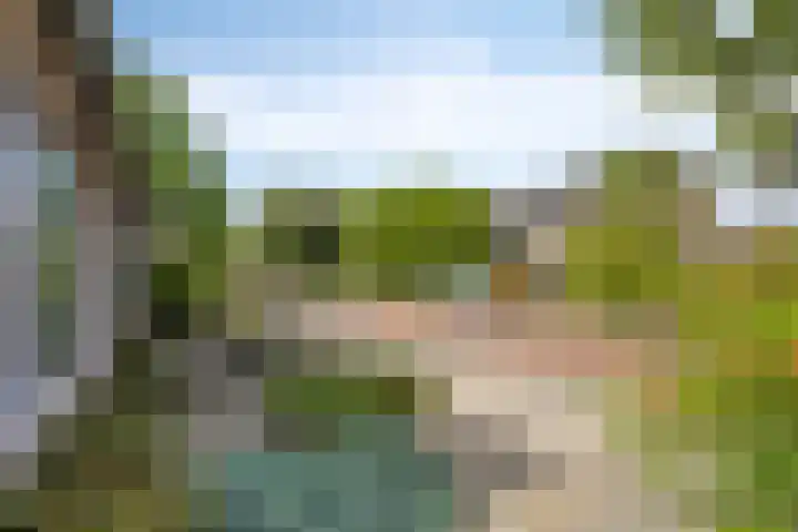Serlioweg 5 Eindhoven thumbnail 44