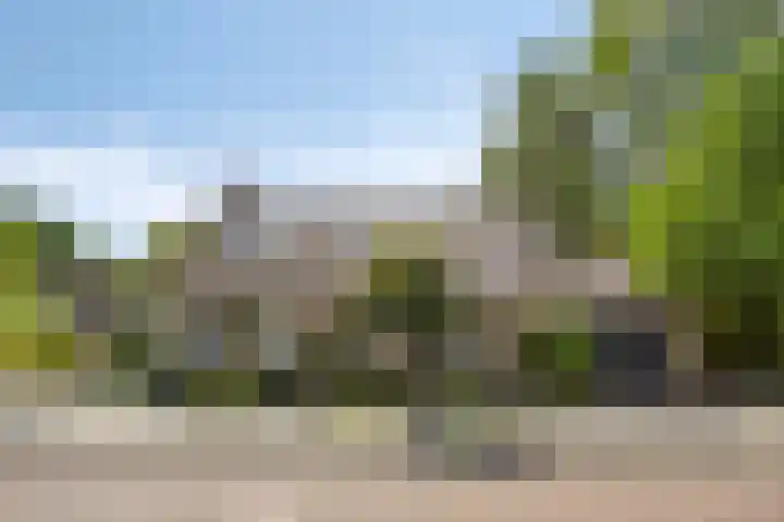 Serlioweg 5 Eindhoven thumbnail 46
