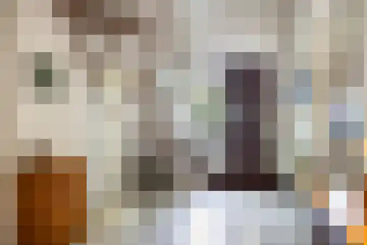 Serlioweg 5 Eindhoven thumbnail 5