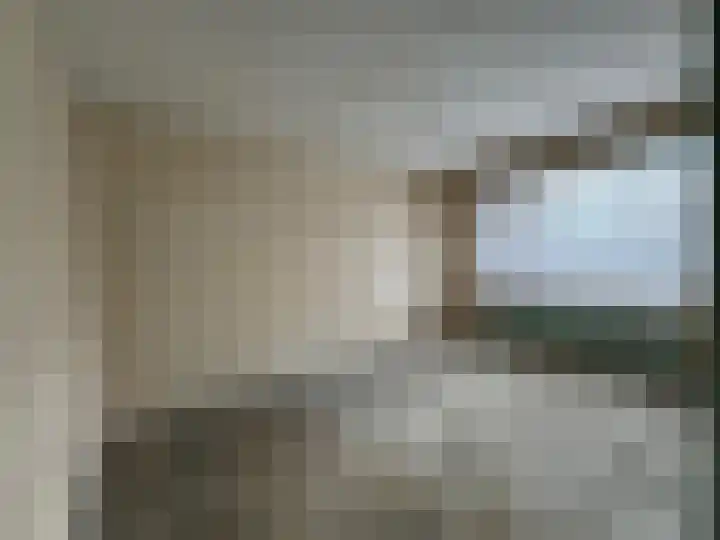 Serlippensstraat 43 Terneuzen thumbnail 10