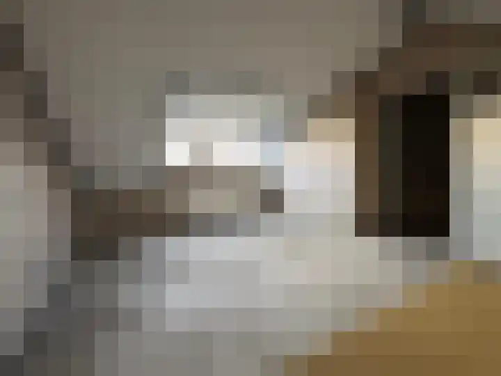 Serlippensstraat 43 Terneuzen thumbnail 14