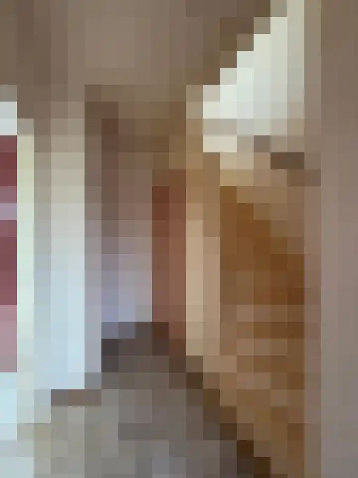 Serlippensstraat 43 Terneuzen thumbnail 6