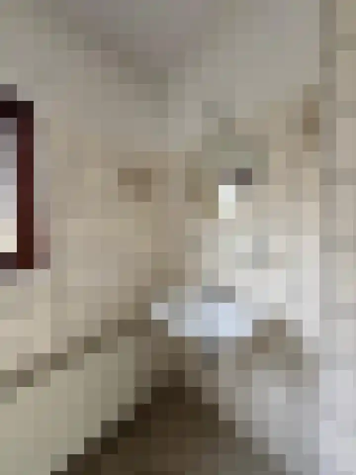 Serlippensstraat 43 Terneuzen thumbnail 7