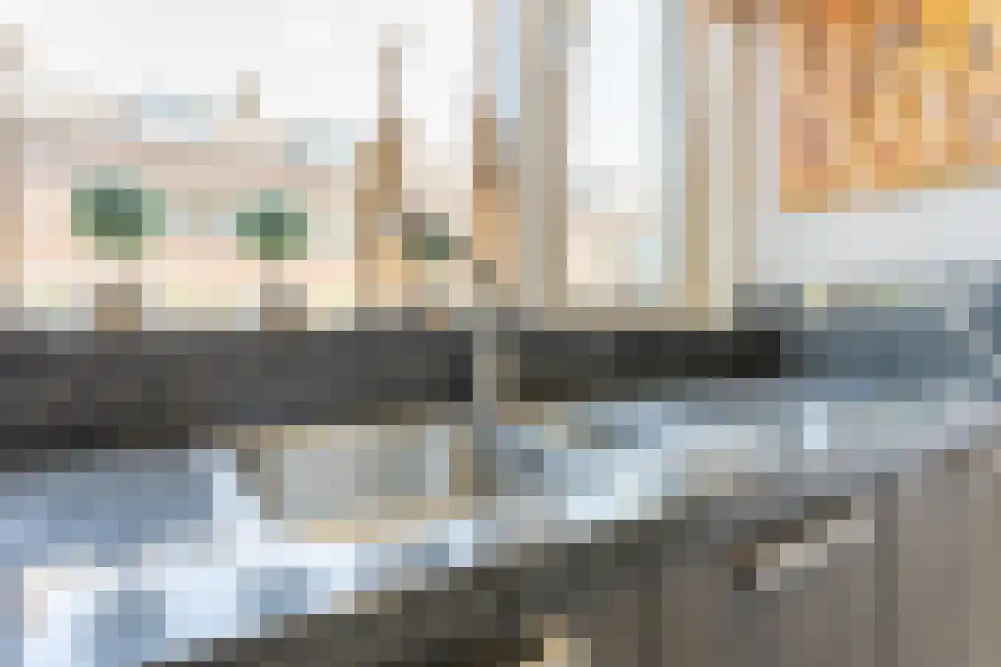Serooskerkestraat 16 Rotterdam thumbnail 13