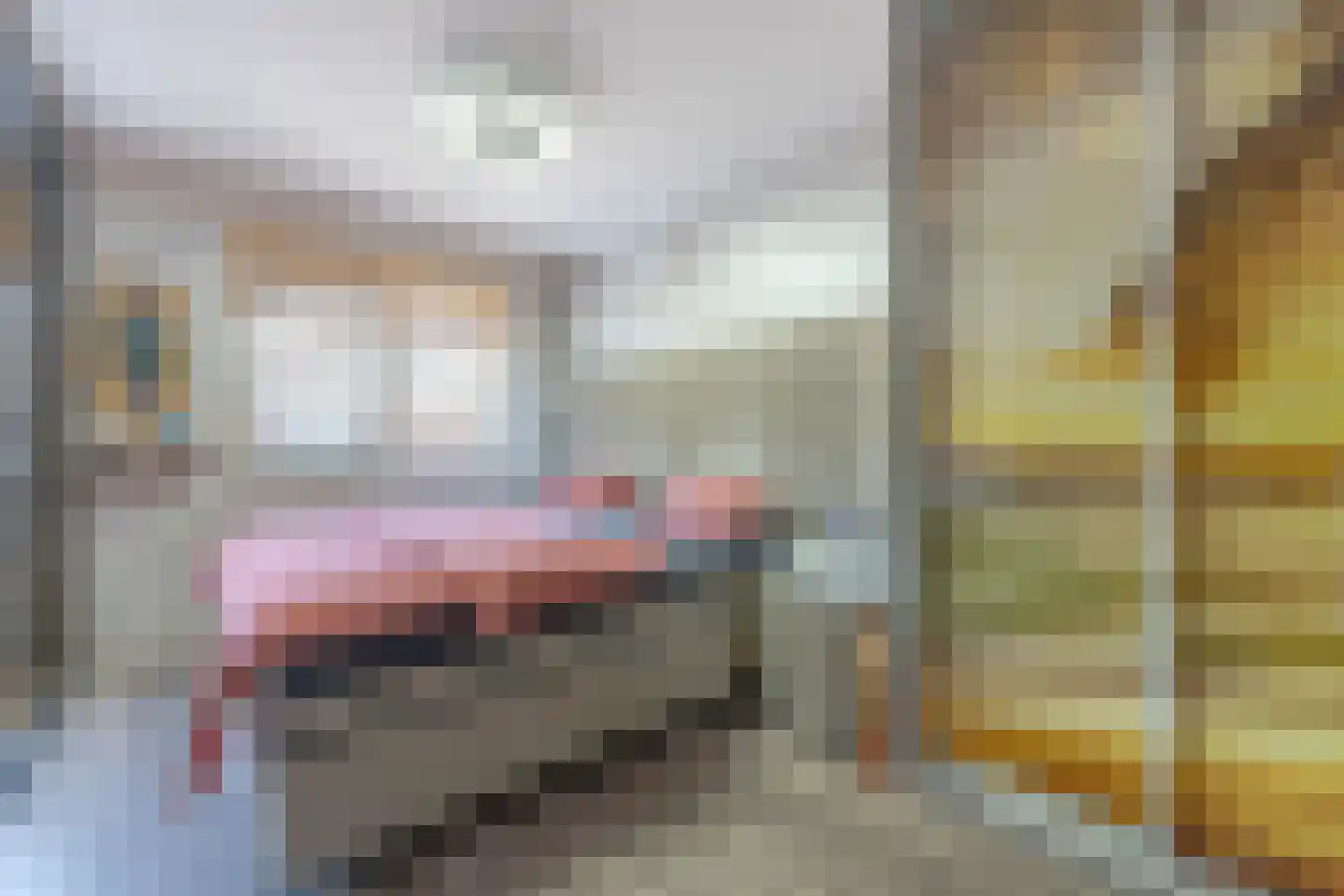 Serooskerkestraat 16 Rotterdam thumbnail 20