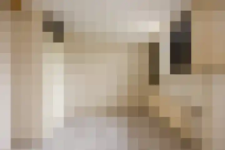 Serooskerkewal 14 Arnhem thumbnail 12