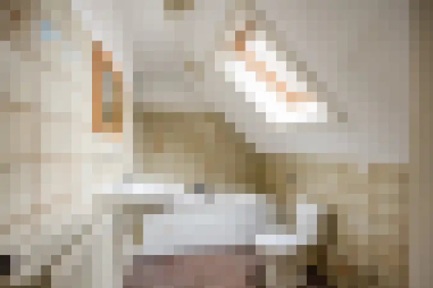 Serooskerkewal 14 Arnhem thumbnail 13
