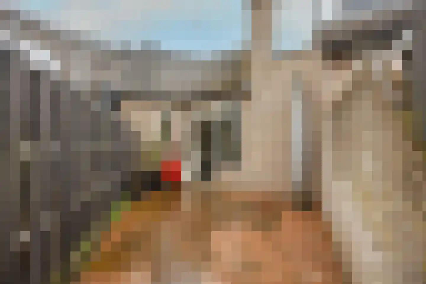 Serooskerkewal 14 Arnhem thumbnail 19
