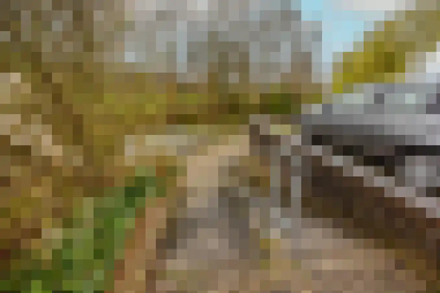 Serooskerkewal 14 Arnhem thumbnail 22