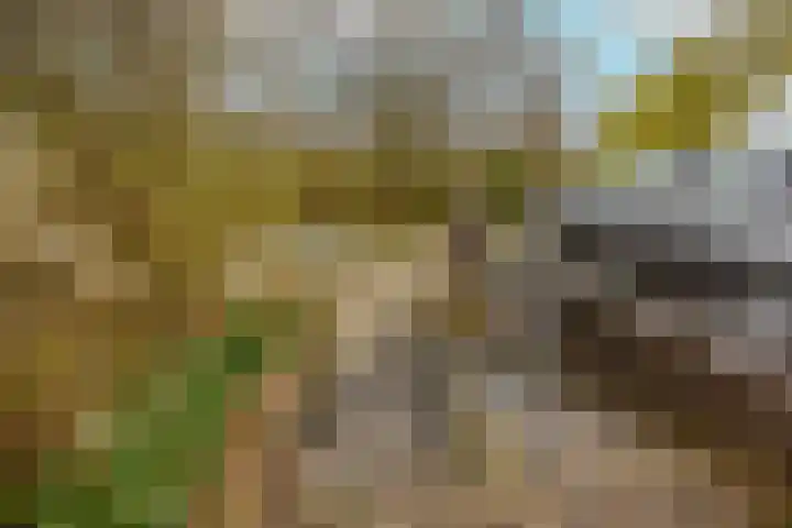 Serooskerkewal 14 Arnhem thumbnail 22