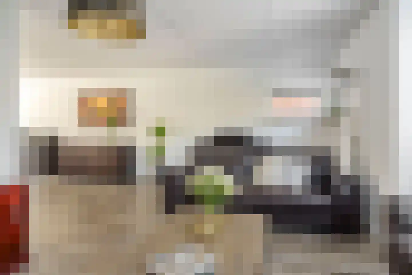Serpelingstraat 12 Hengelo thumbnail 13