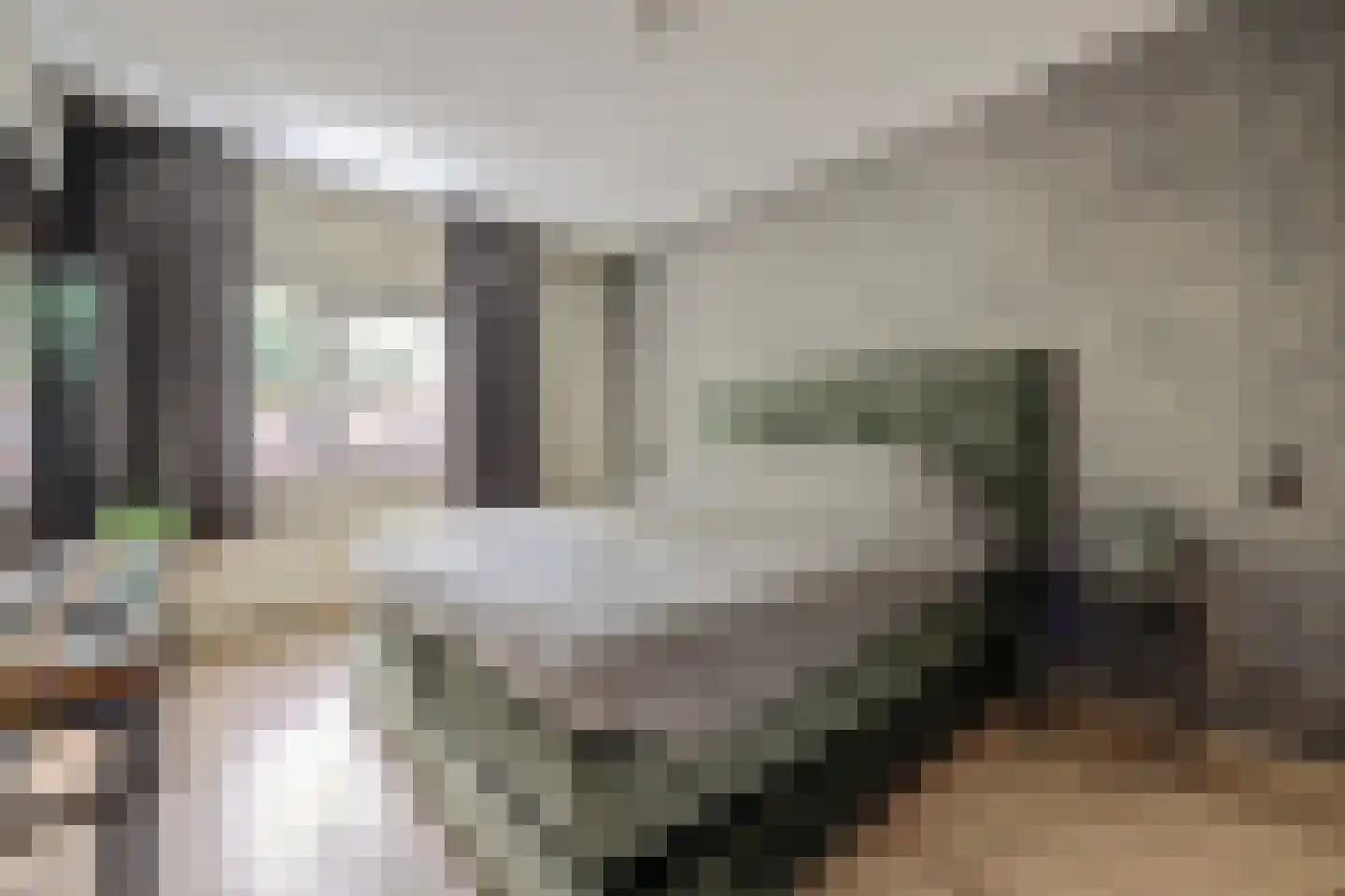 Serpelingstraat 13 Hoogvliet Rotterdam thumbnail 10