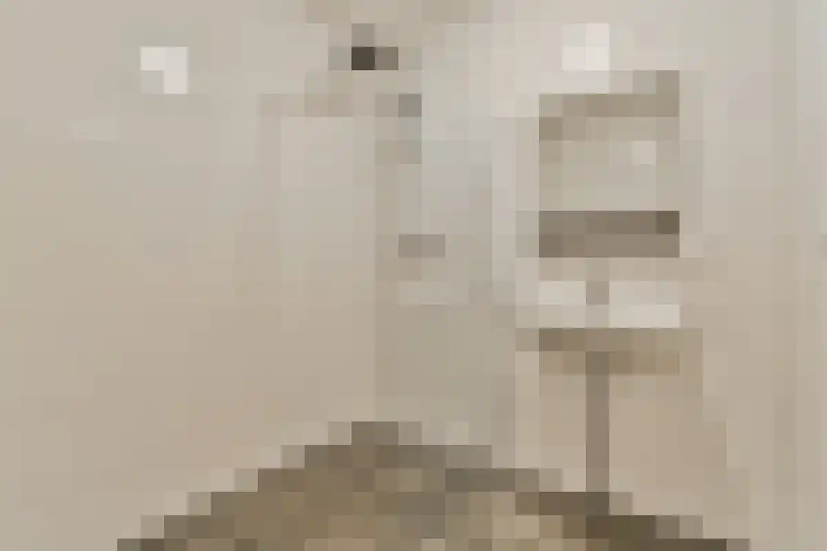 Serpelingstraat 31 Hoogvliet Rotterdam thumbnail 4
