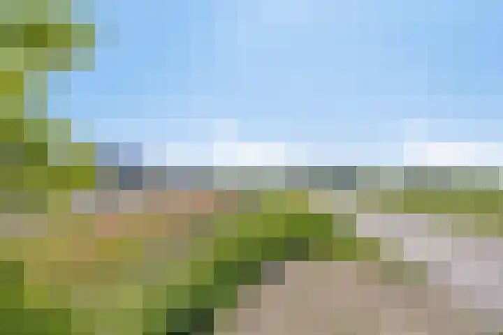 Serpentijn 10 Zevenbergen thumbnail 31