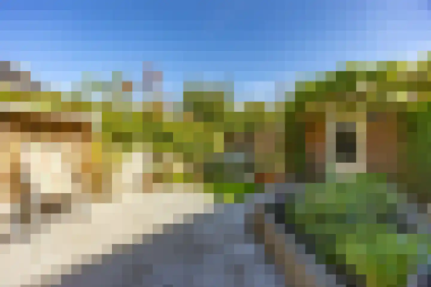Serpentine 21 Den Haag thumbnail 17