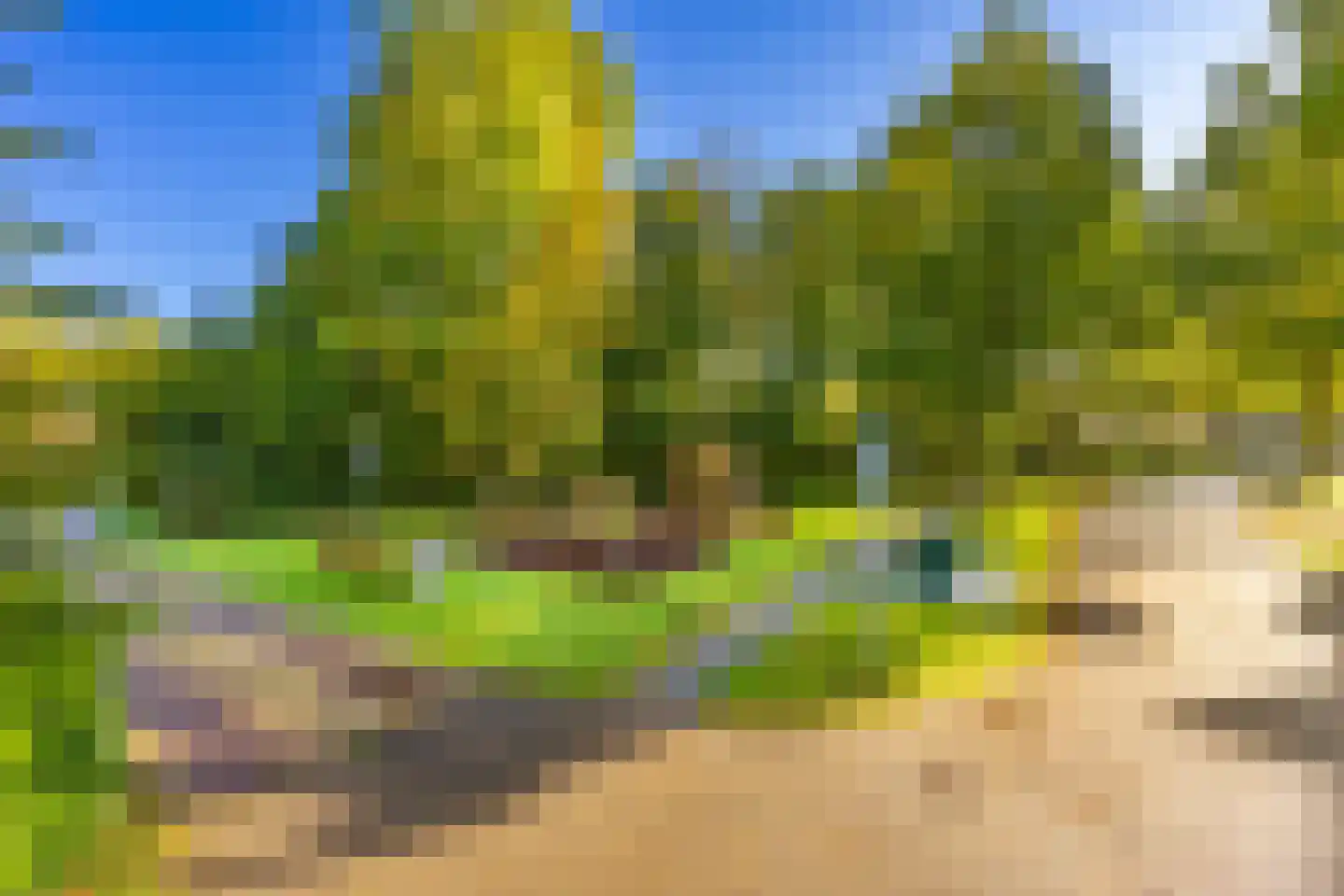 Serpentine 21 Den Haag thumbnail 43