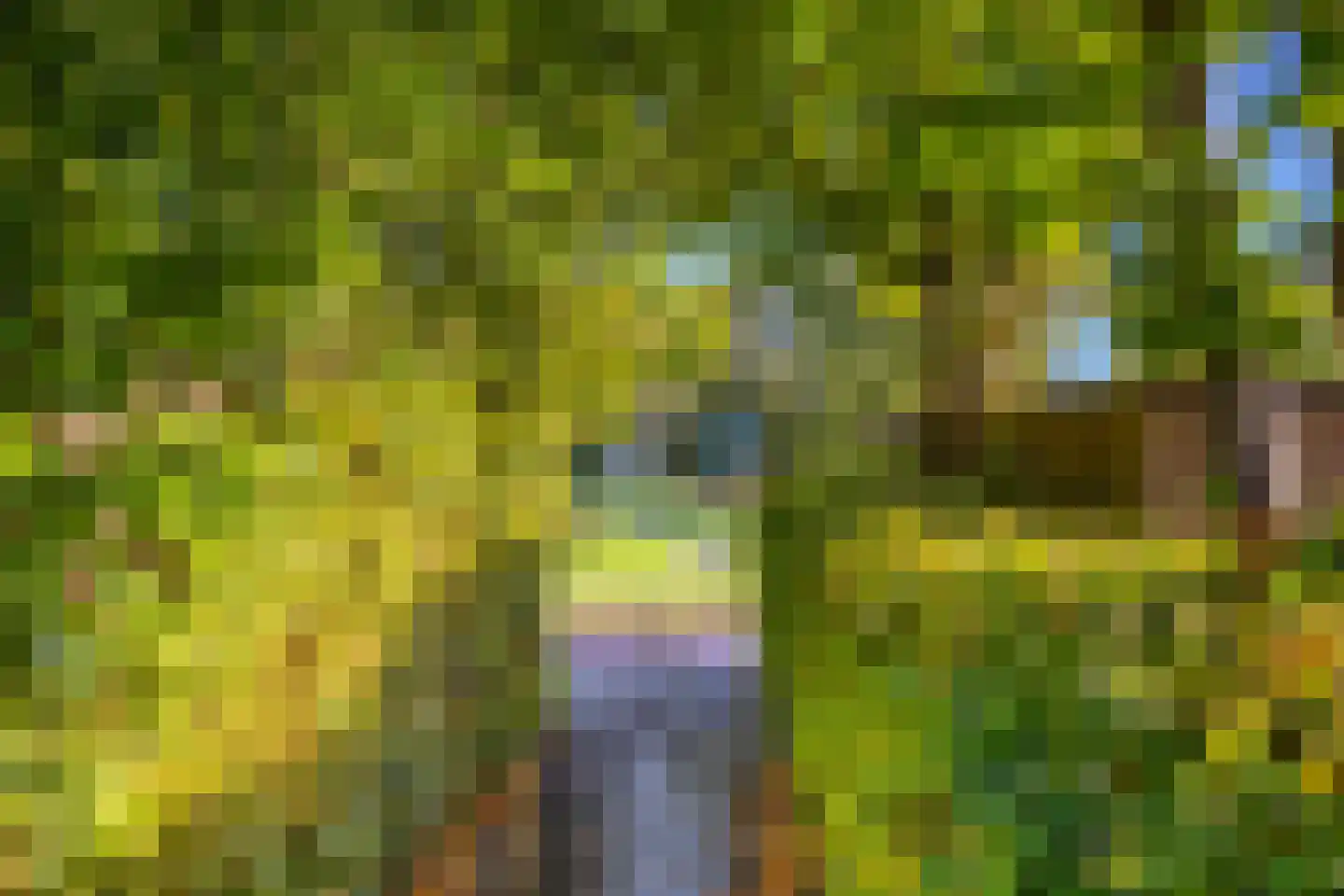 Serpentine 21 Den Haag thumbnail 44