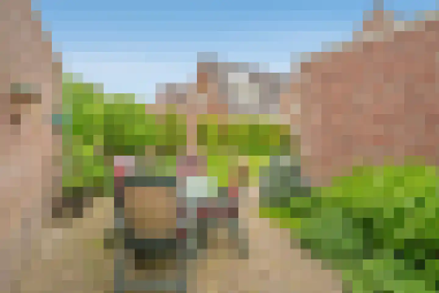 Serpentine 3 Den Haag thumbnail 18
