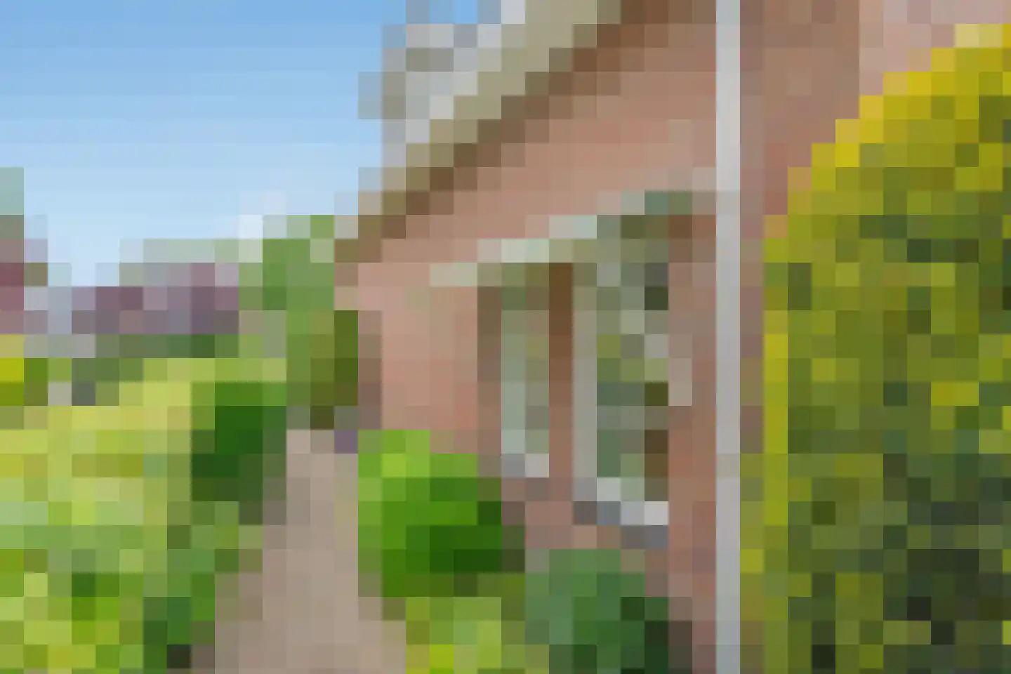 Serpentine 3 Den Haag thumbnail 22