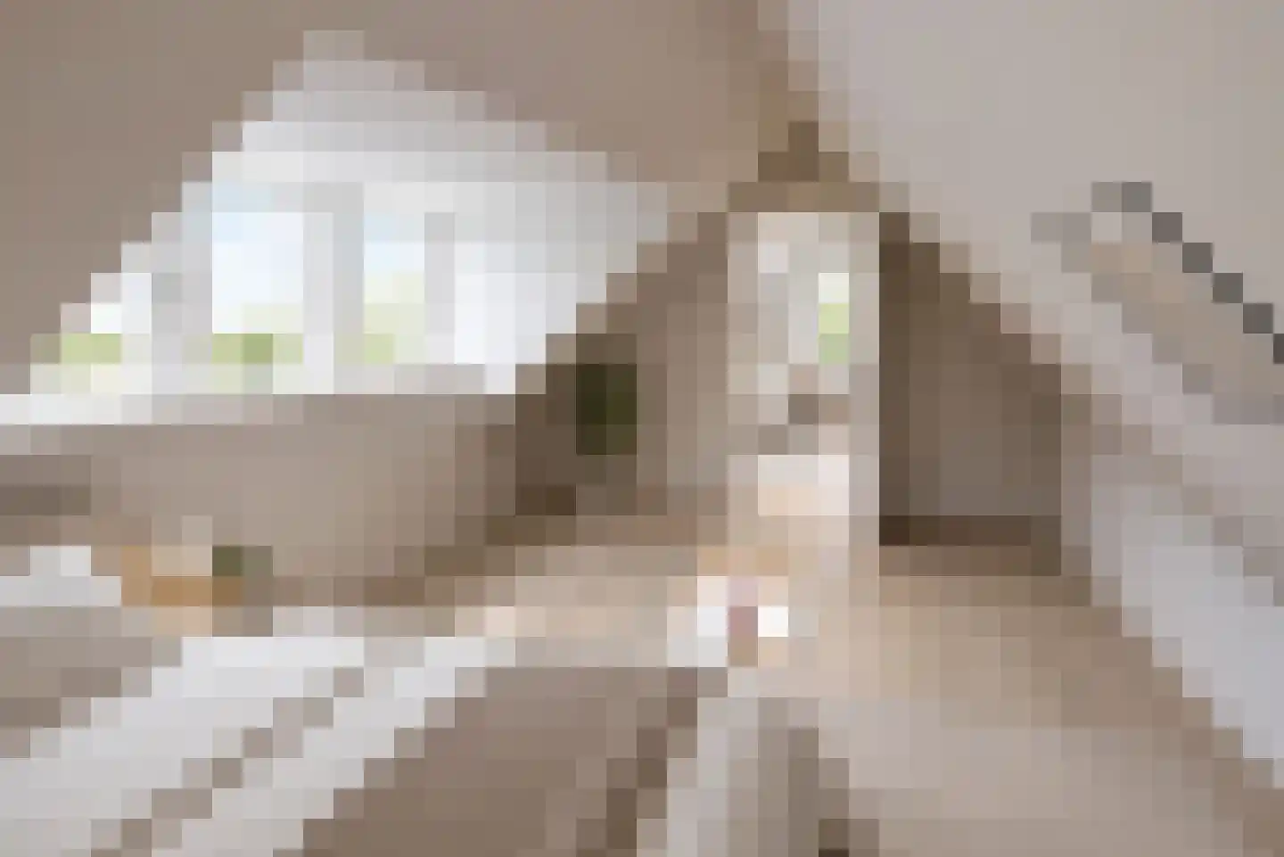 Serpentine 3 Den Haag thumbnail 35
