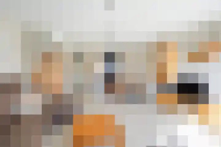 Serre 2 Rijswijk thumbnail 19