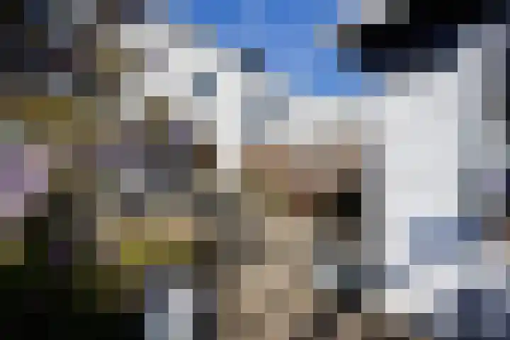 Serre 2 Rijswijk thumbnail 27
