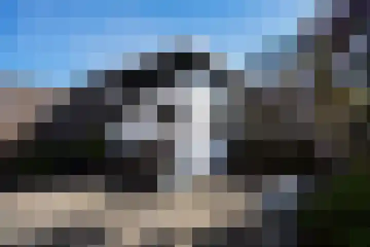 Serre 2 Rijswijk thumbnail 29
