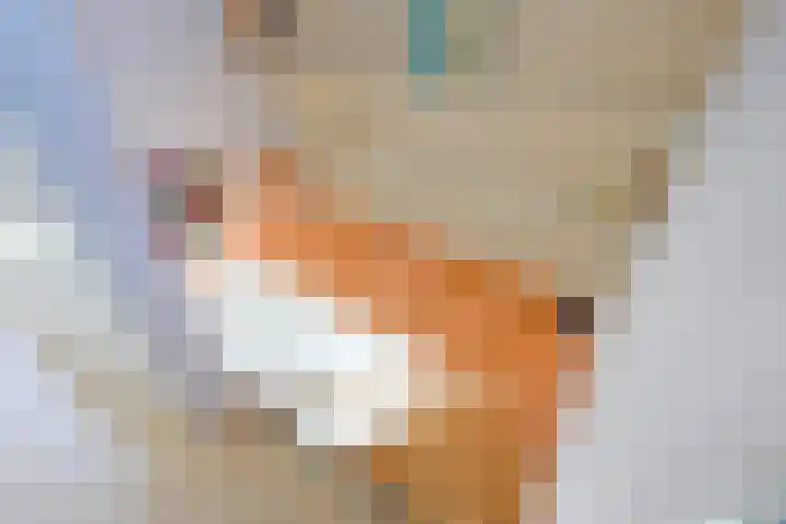 Serre 2 Rijswijk thumbnail 44