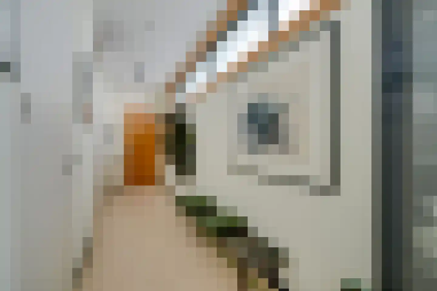 Servaasbolwerk 29 Utrecht thumbnail 27