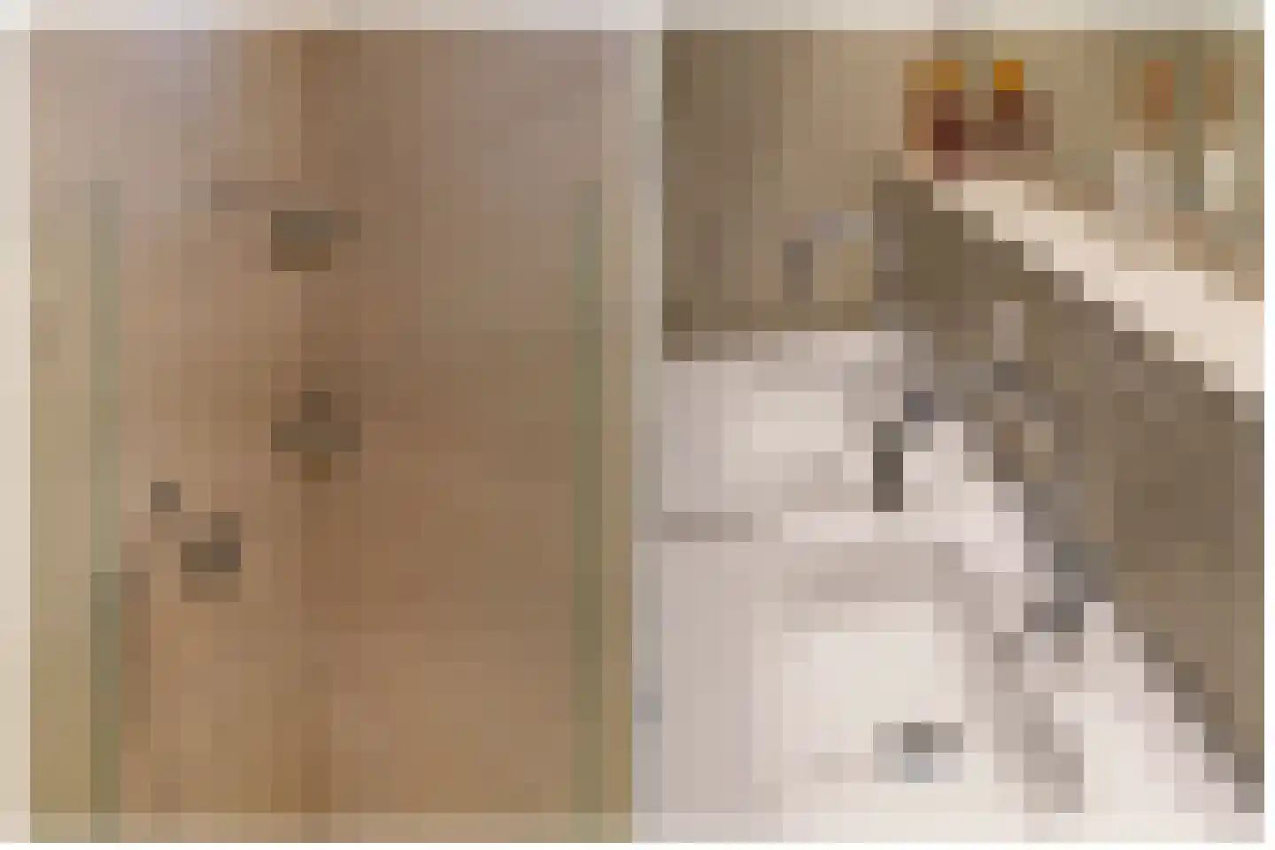Servaasbolwerk 29 Utrecht thumbnail 33