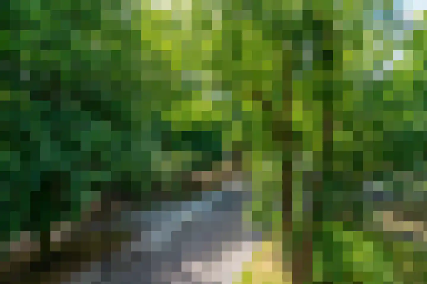 Servaasbolwerk 29 Utrecht thumbnail 39