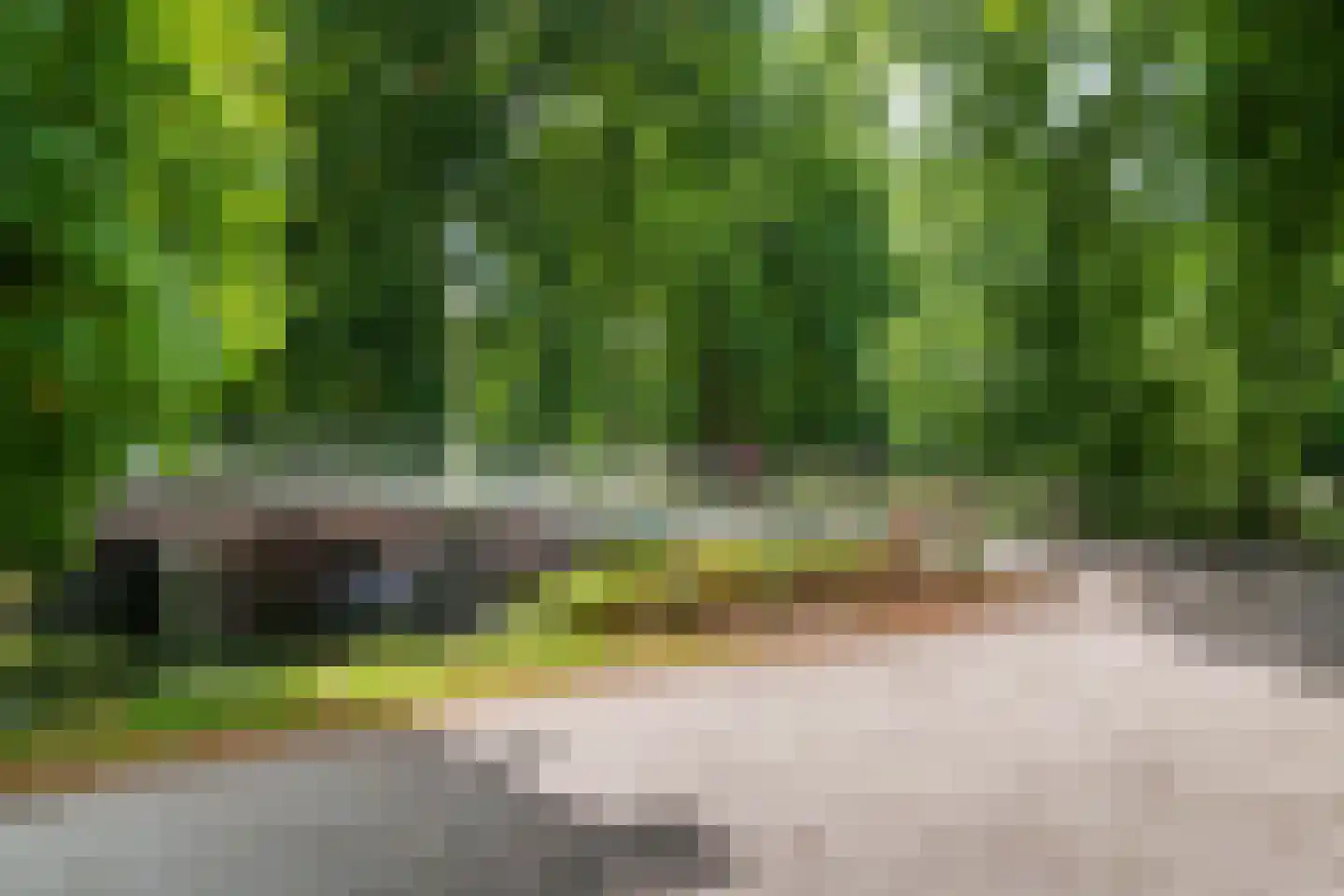 Servaasbolwerk 29 Utrecht thumbnail 44