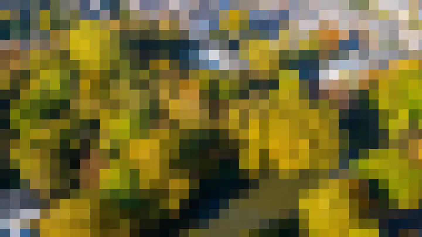 Servaasbolwerk 29 Utrecht thumbnail 45