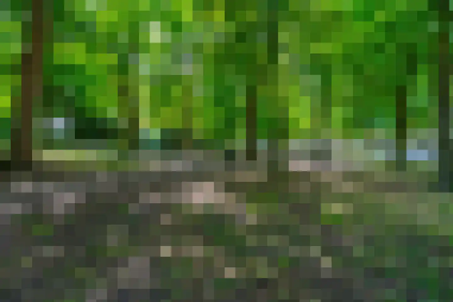 Servaasbolwerk 29 Utrecht thumbnail 47