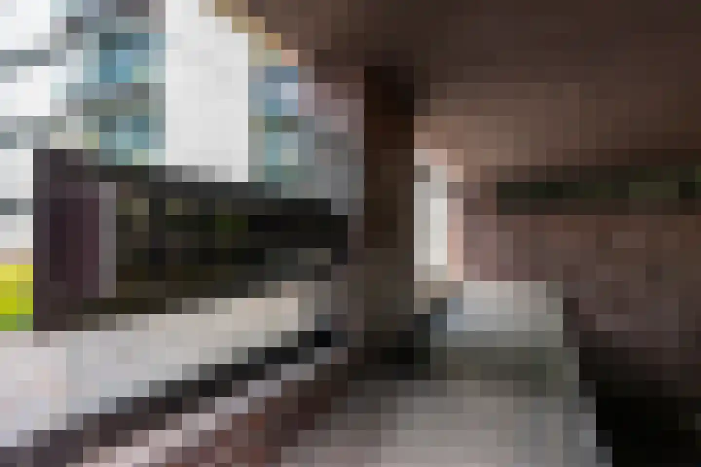 Servaasbolwerk 29 Utrecht thumbnail 50