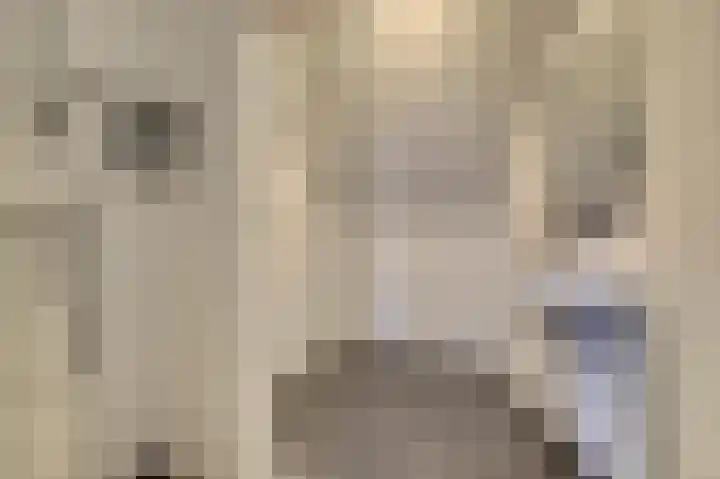 Servaashof 14 Helden thumbnail 14