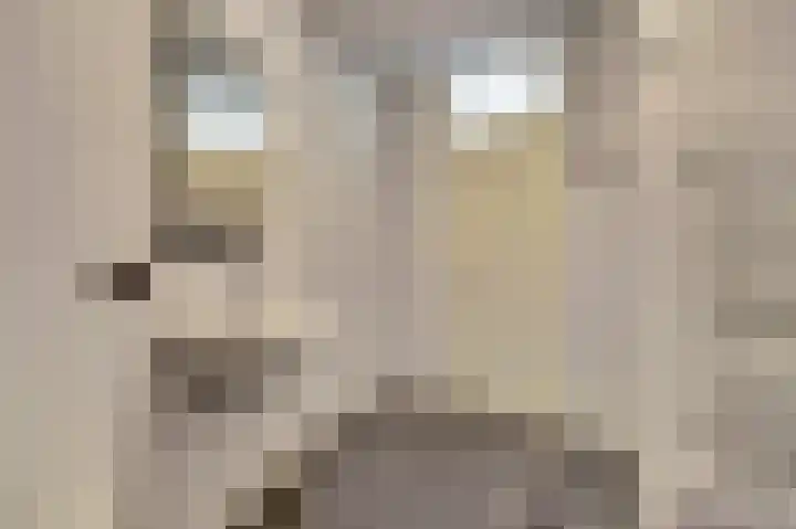 Servaashof 14 Helden thumbnail 15